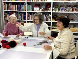 Встреча «Новогодняя птичка»