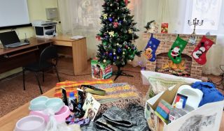  Благотворительная акция «Помоги нам выжить»