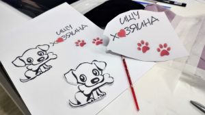 В модельной библиотеке стартовал модный марафон в помощь бездомным животным 