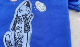 МОДА НА ДОБРОТУ. В модельной библиотеке завершается проект по созданию модной одежды для питомцев из приюта