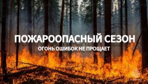 Огонь не прощает ошибок Огонь не прощает ошибок