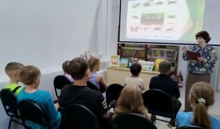 Познавательная беседа «Мир насекомых»
